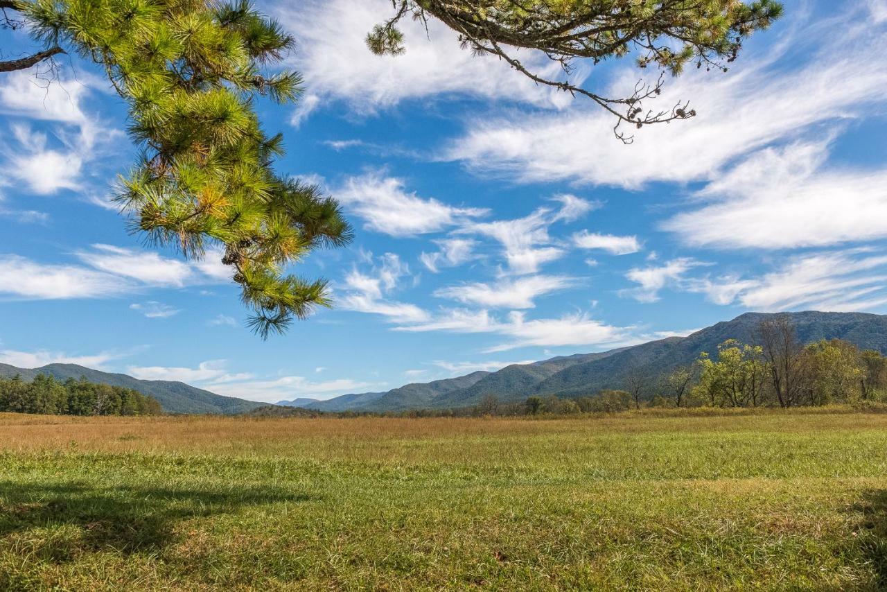 Vila Smoky Bear Hideout Sevierville Exteriér fotografie